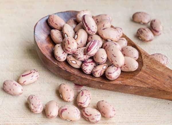 معرفی لوبیا چیتی دانه درشت + بهترین قیمت خرید